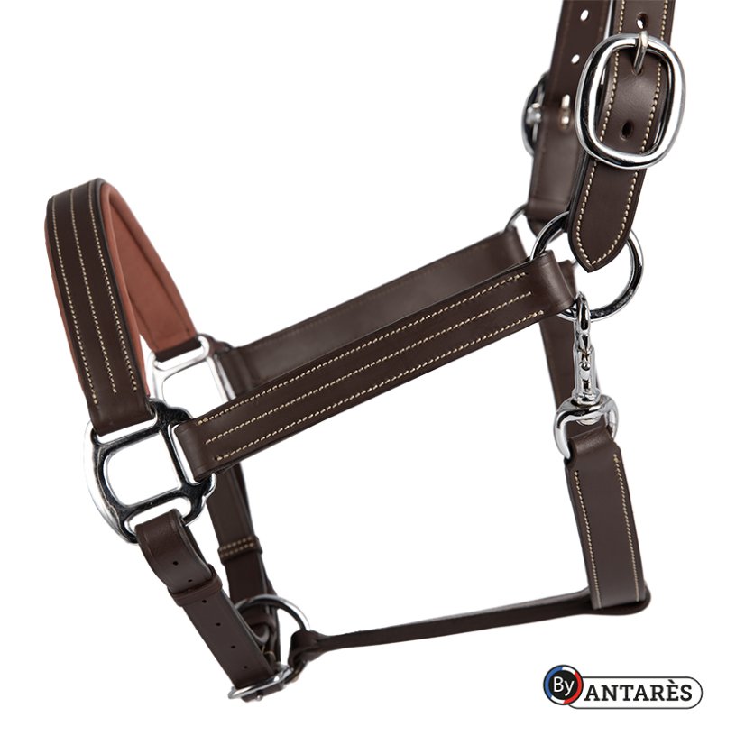 Antares Leather Halter - Farba: Čierna, veľkosť: full