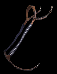 ENR2G PIC 2020 01 ENR2G PIC 2020 01