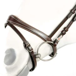 Uzdečka Equipe anglická