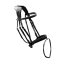 precision comfort bridle