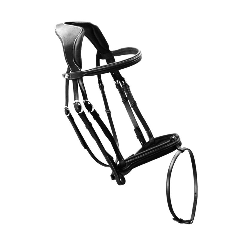precision comfort bridle