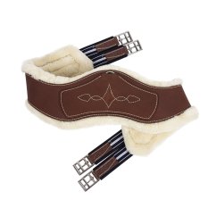 Podbrušník Antarés anatomický