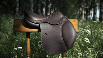 Ako vybrať správne sedlo pre koňa?
