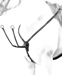 Poprsák Equipe Emporio clincher