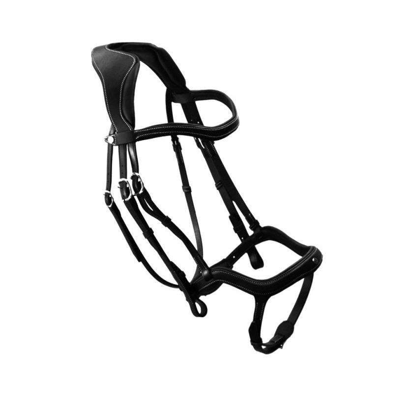 precision y noseband bridle (2)
