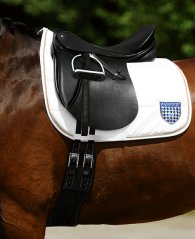 073 VorDre SatGur ku sch Detail 468x573